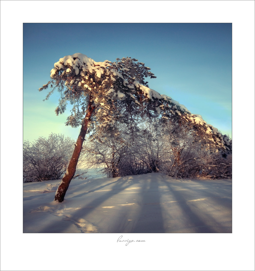 Again, winter