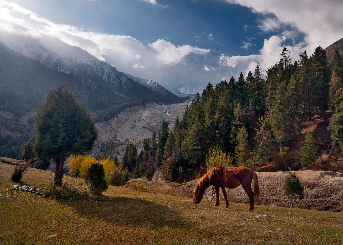 Among the mountains