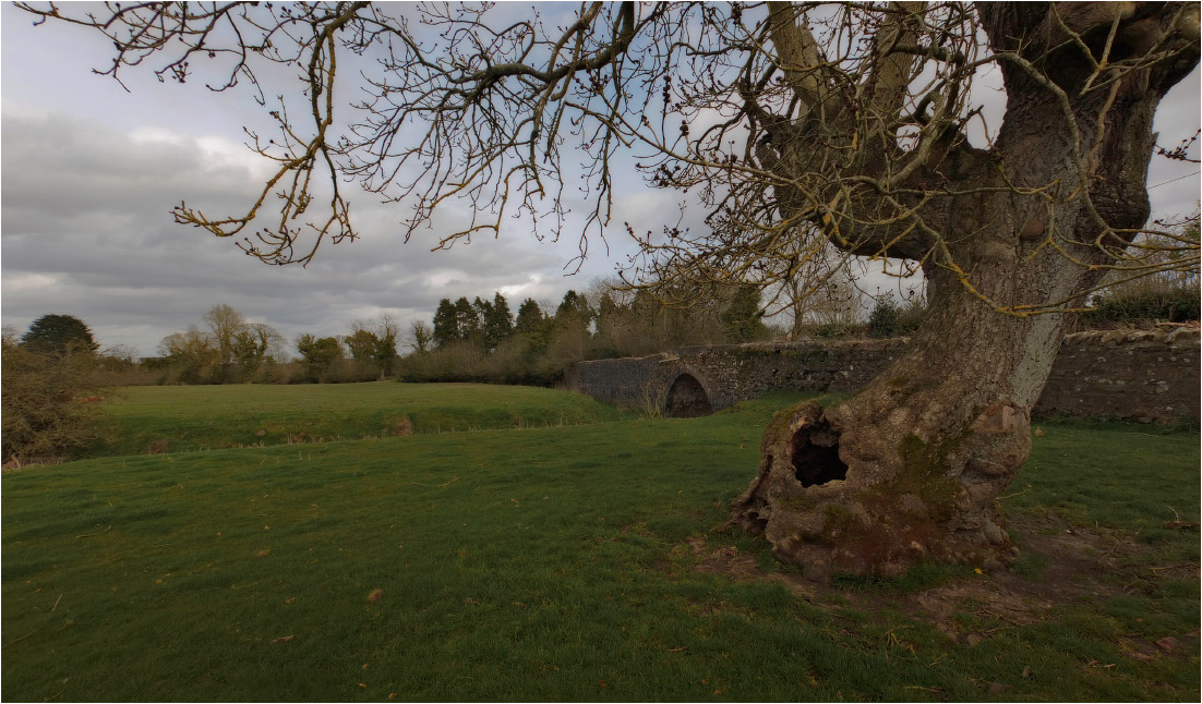 About ... "leaky" oak ...