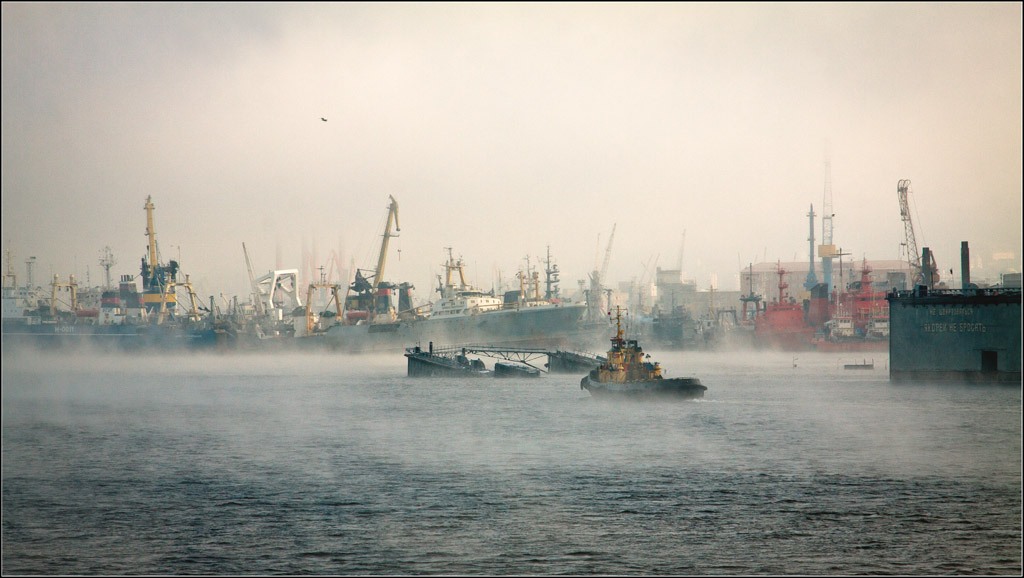 in the fog ...