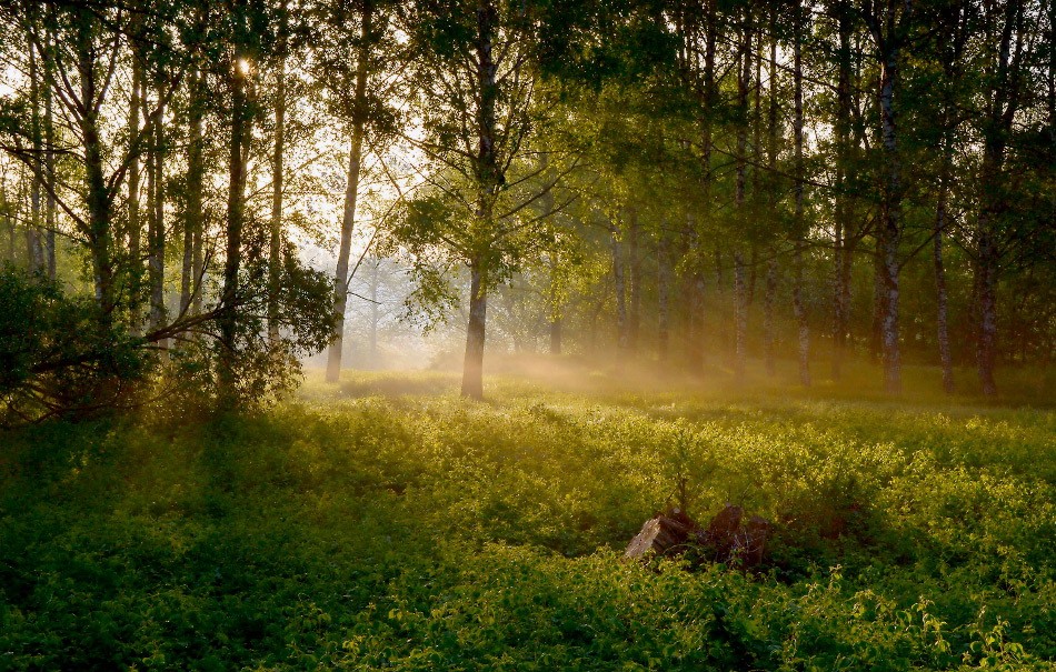 May morning