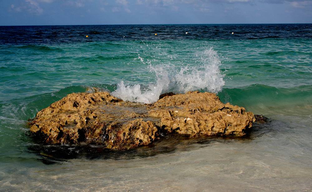 The Caribbean