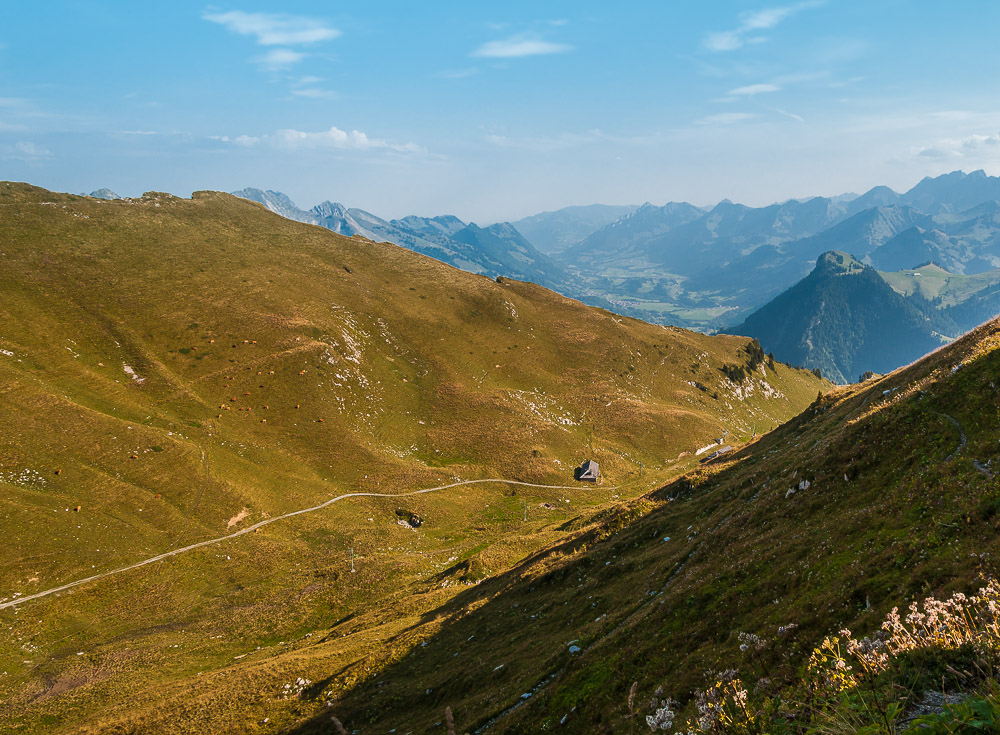 On the slope of the Alps