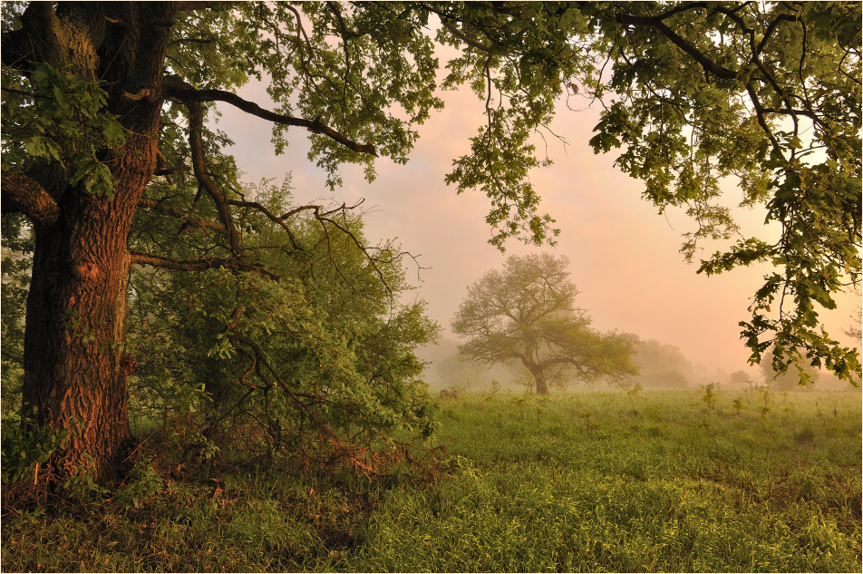 Centenarians River Valley