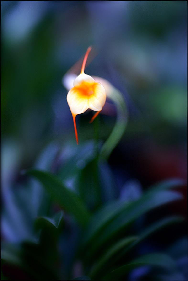 erotic nature