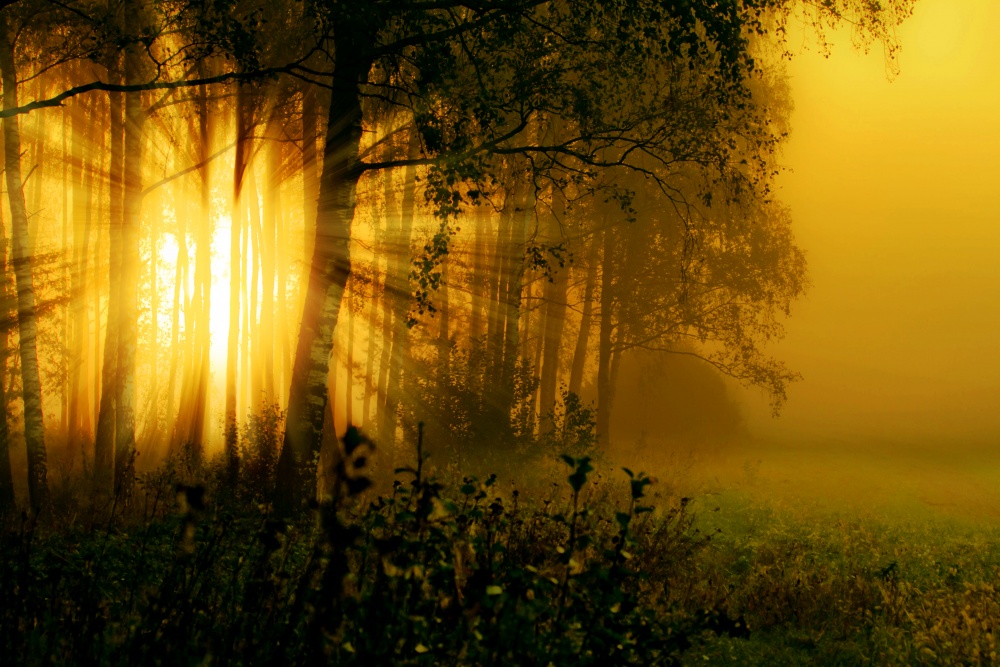 At dawn