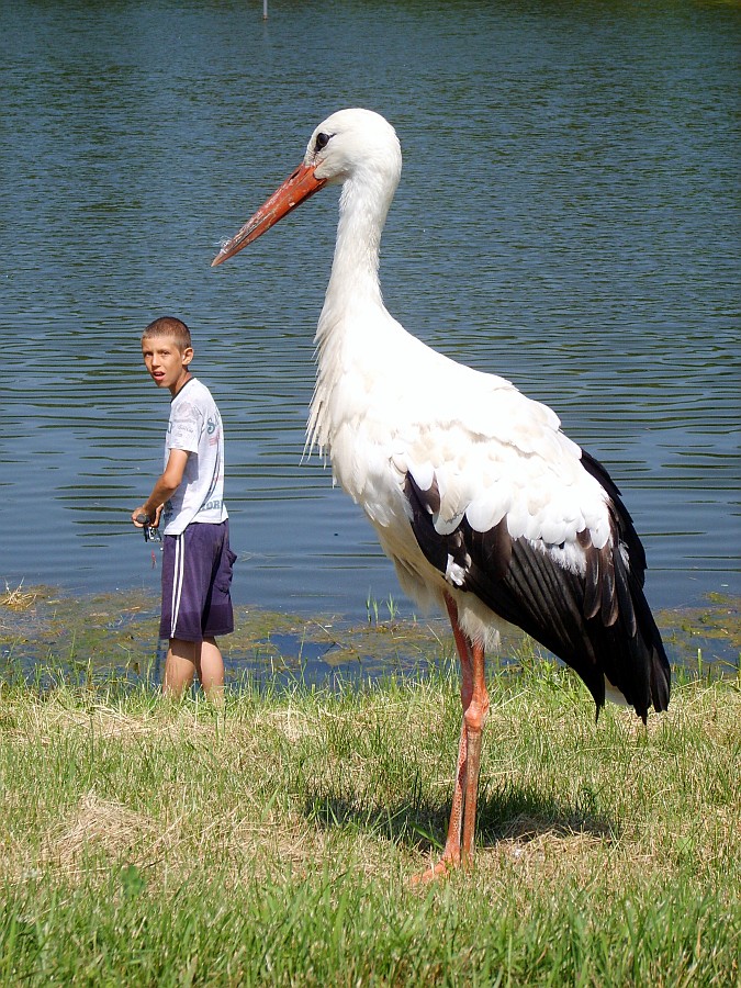 Big and small
