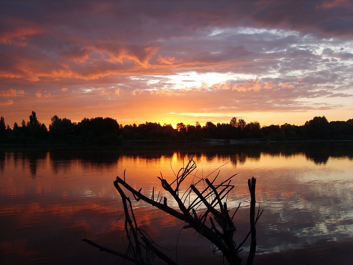 The Scarlet Dawn June