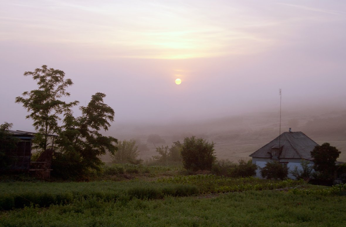 Colors of the morning dawn.