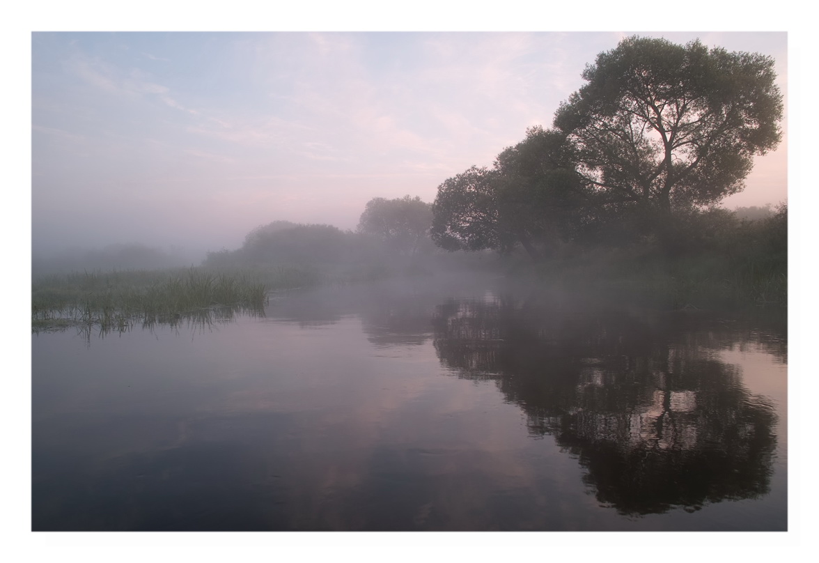 July morning-3