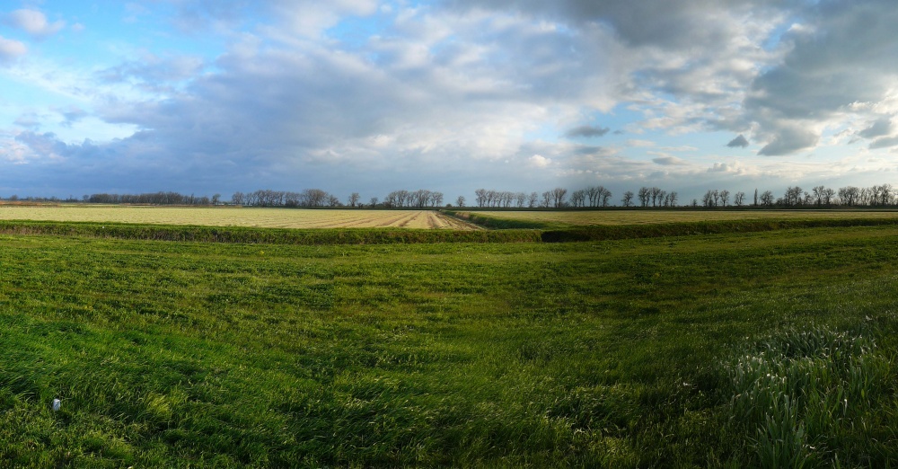 Windy road story