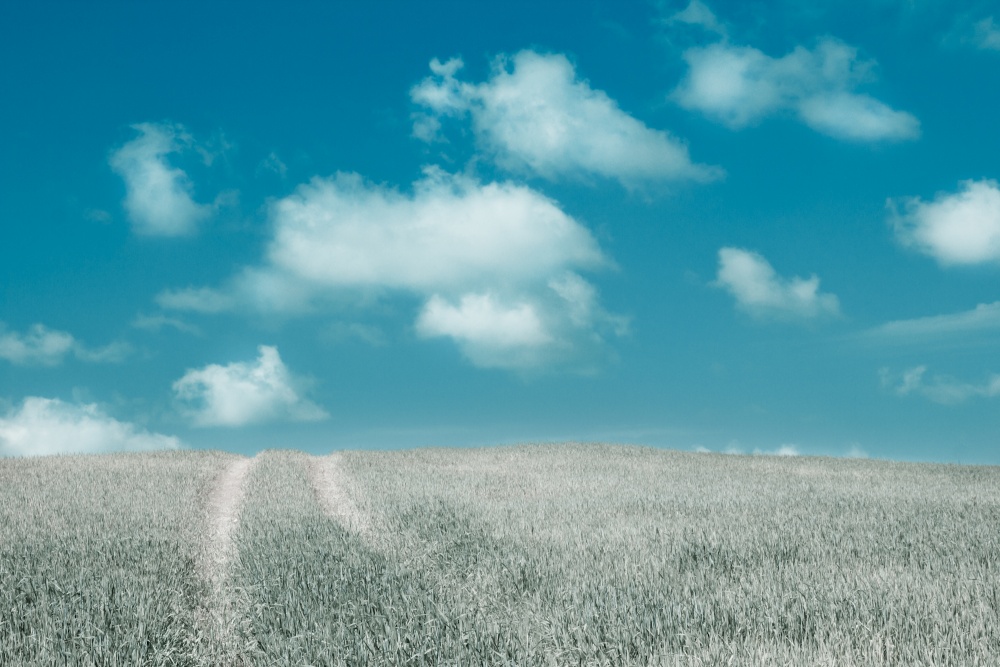 The road to heaven