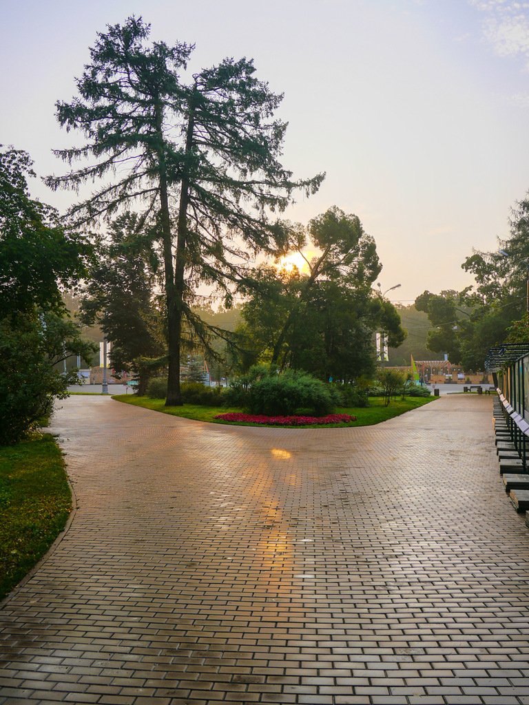 Morning in Sokolniki