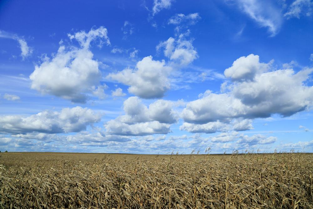 Сlouds
