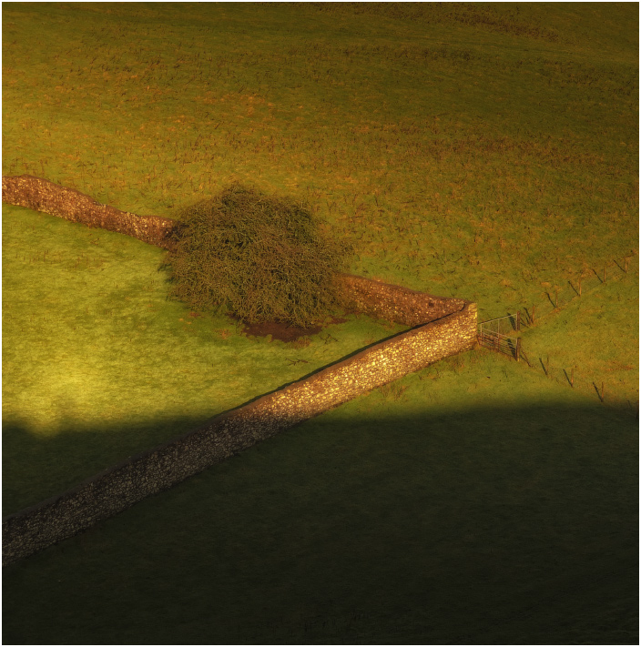 And shadow ... ...