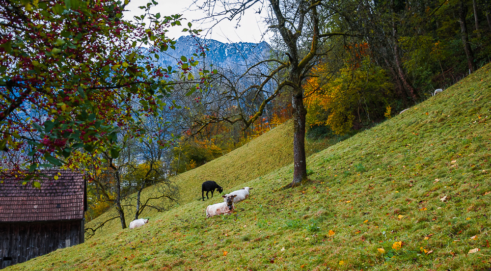 On the slope.