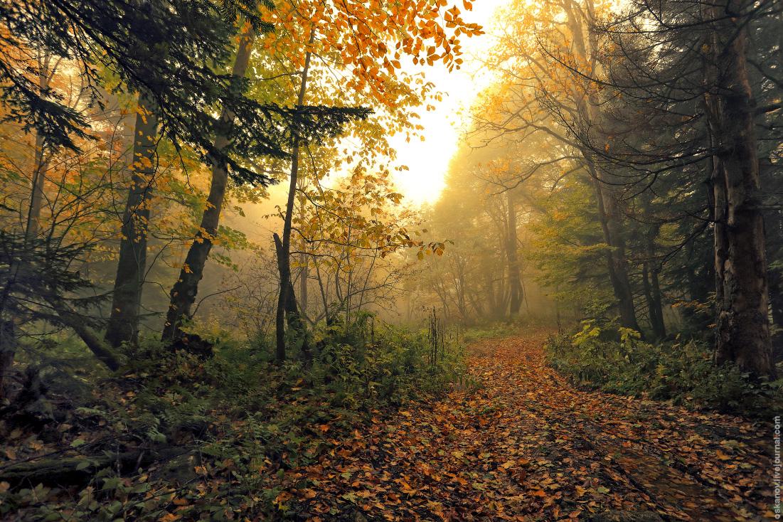 The charm of autumn