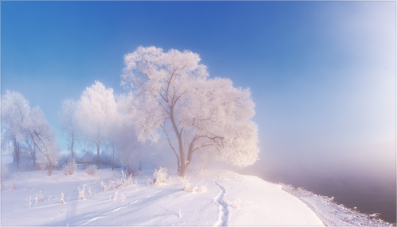 Frosty