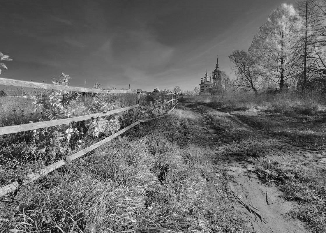 Gardens / ***