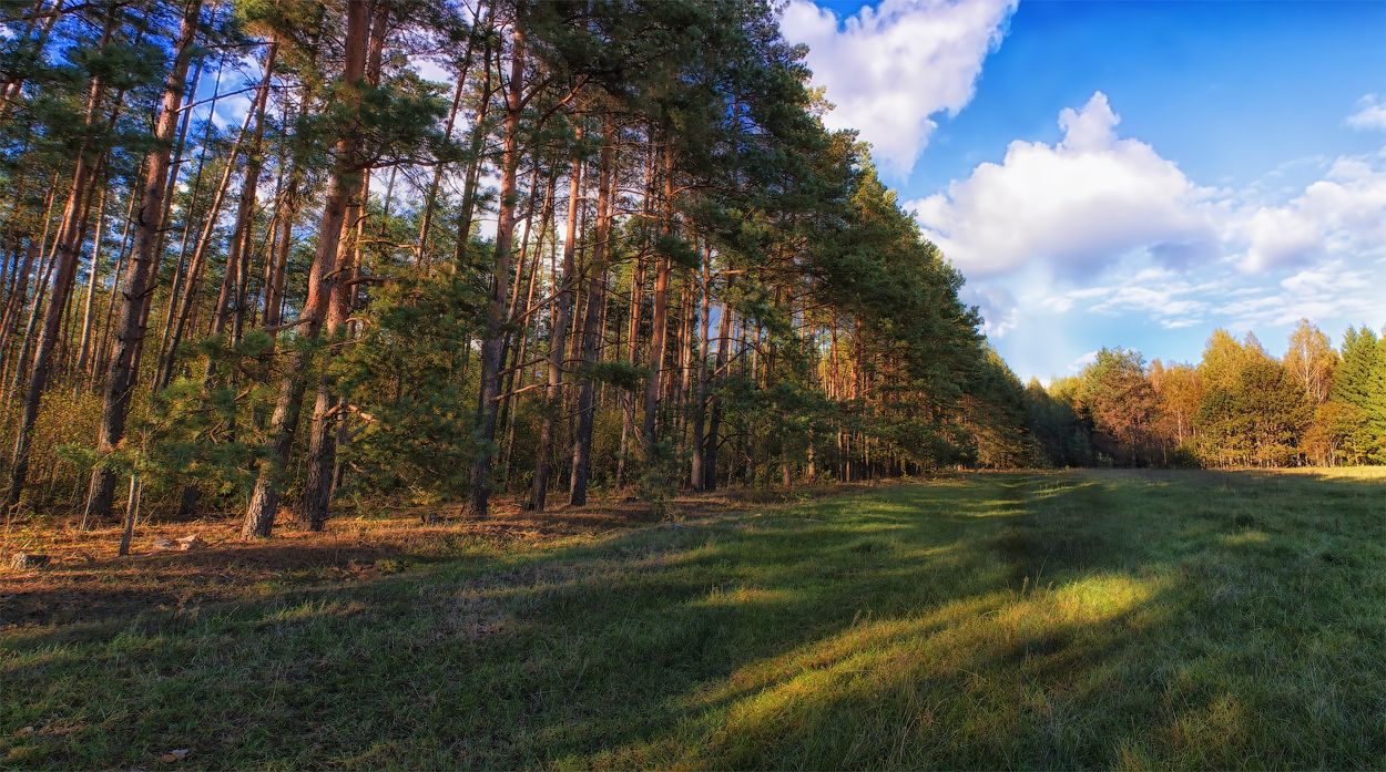 Autumn evening