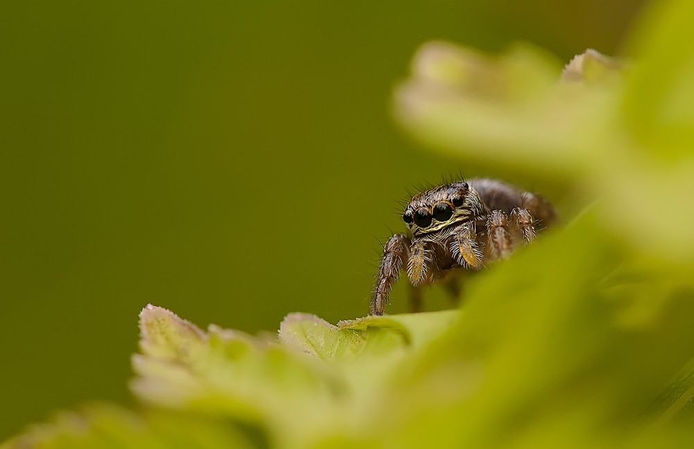 Looking around the area / ***