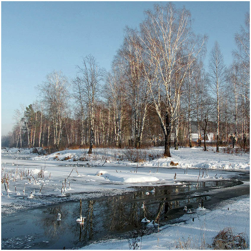 In winter afternoon