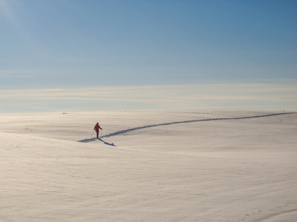 Skier