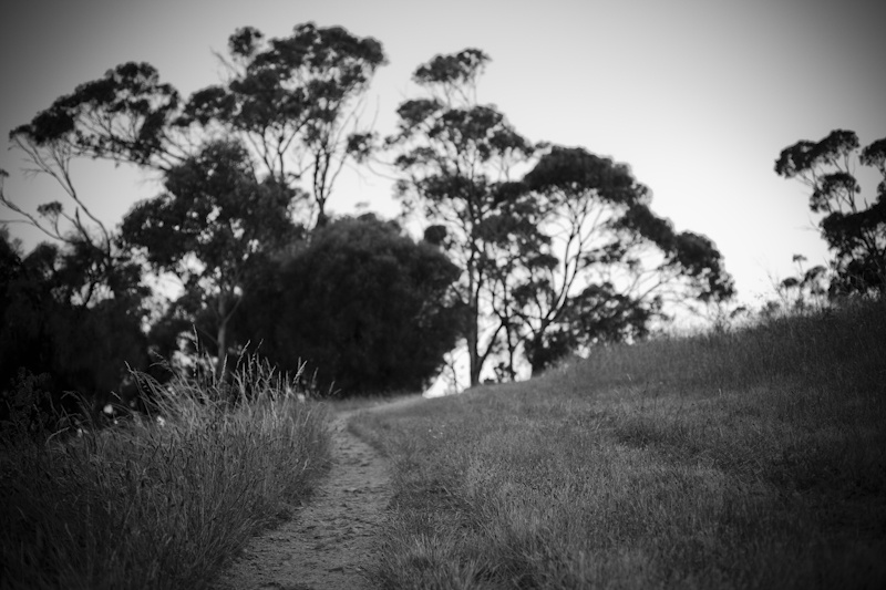 Footpath