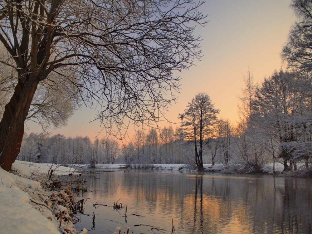 Morning on the river