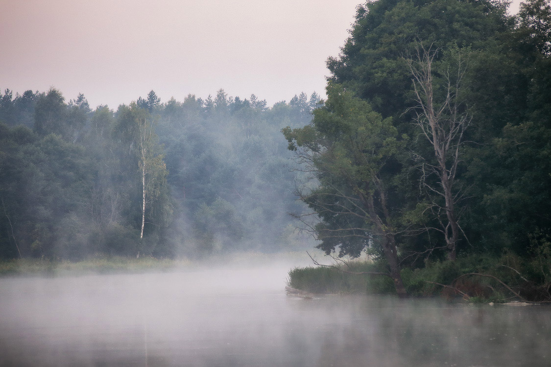 Summer Fog