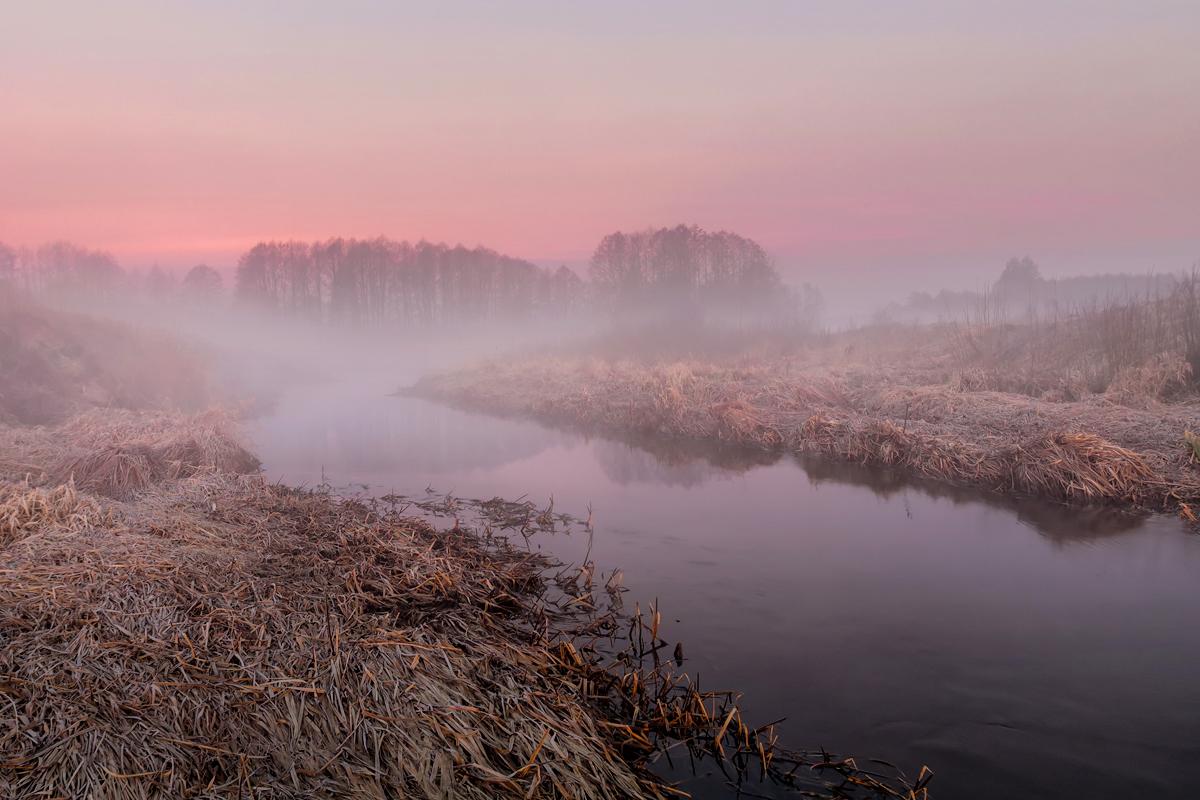 pink morning