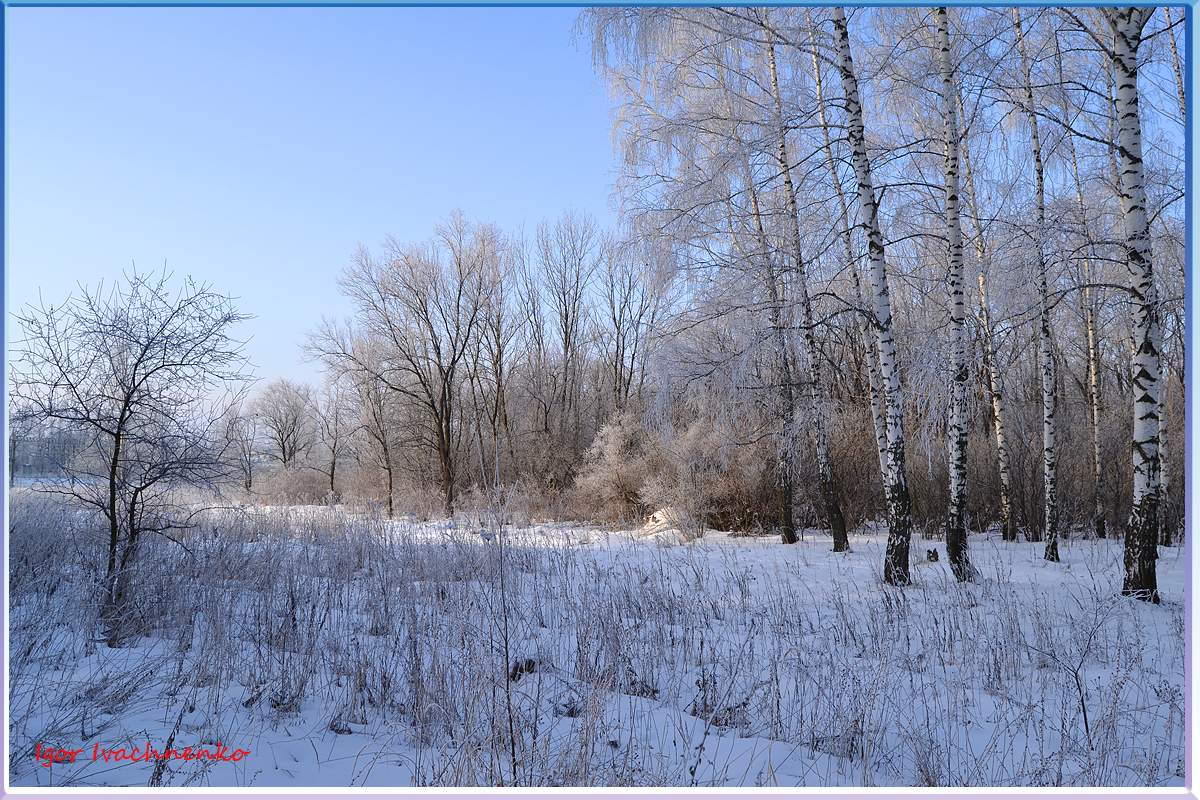 the end of winter