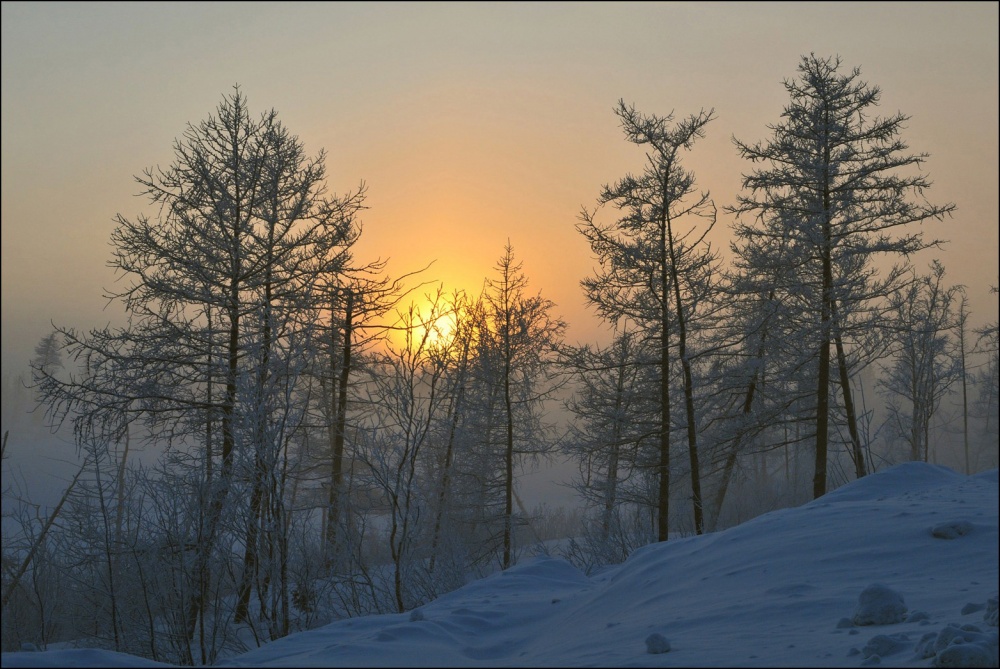 -47C 4