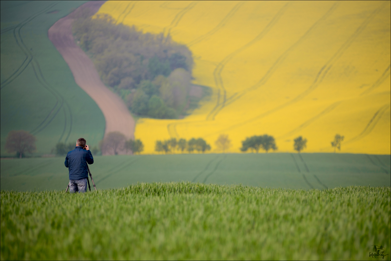 / LANDSCAPE PAINTER /