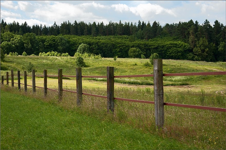 Fence
