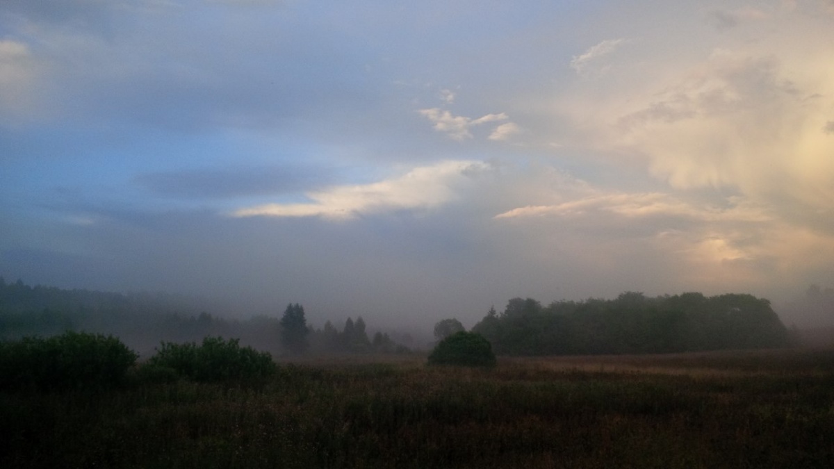 Fog 3D
