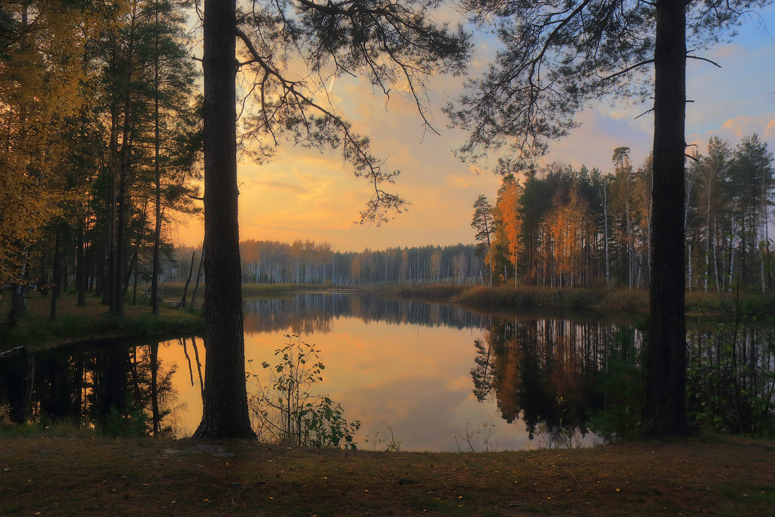 Autumn evening