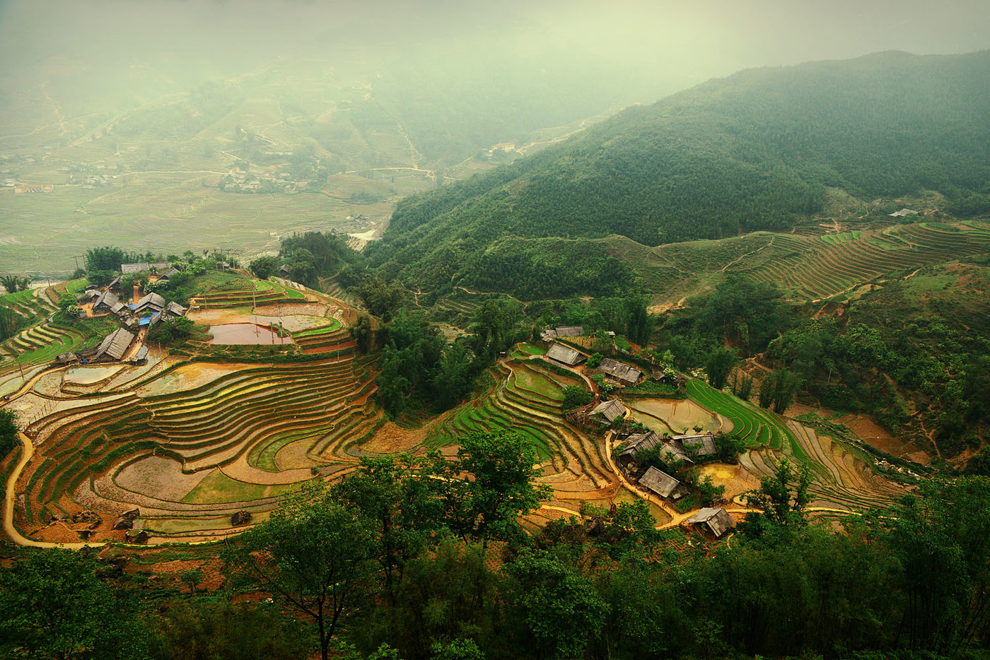 Sapa