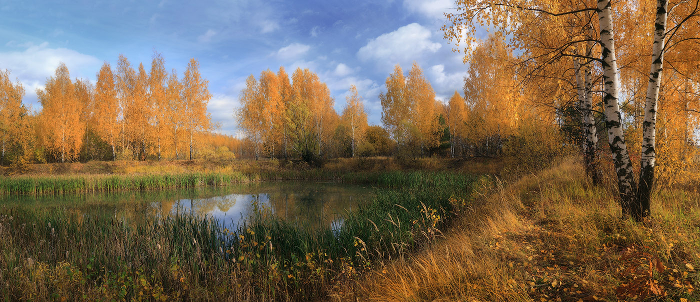Topics of October