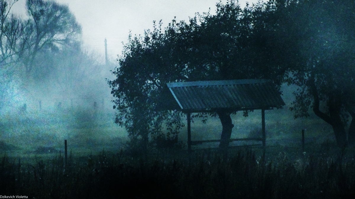 Fog