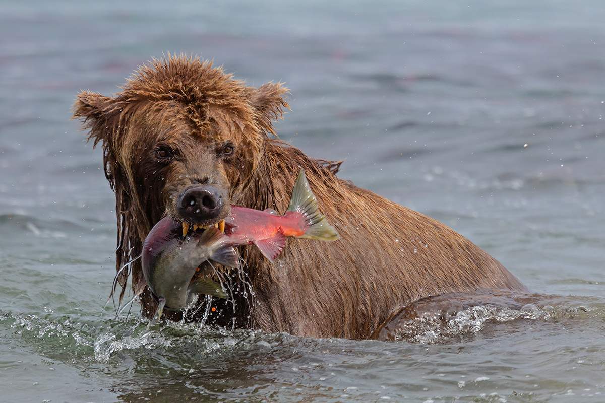 Fishing