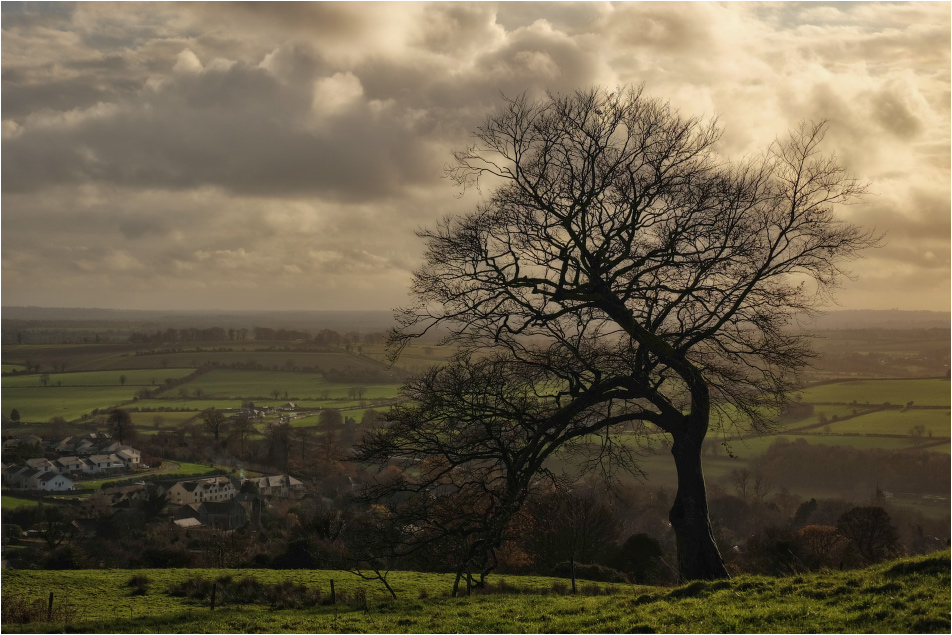 ...above the fields...