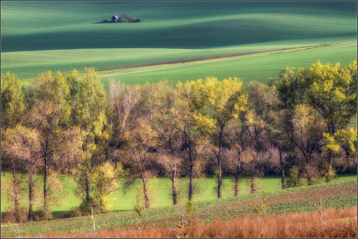 There, in the distance - a shed lonely ...