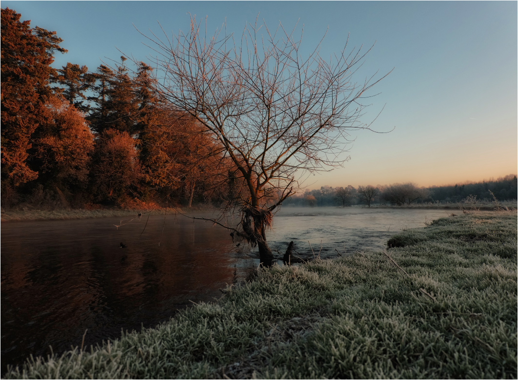 ... And lonely dawn tone ...
