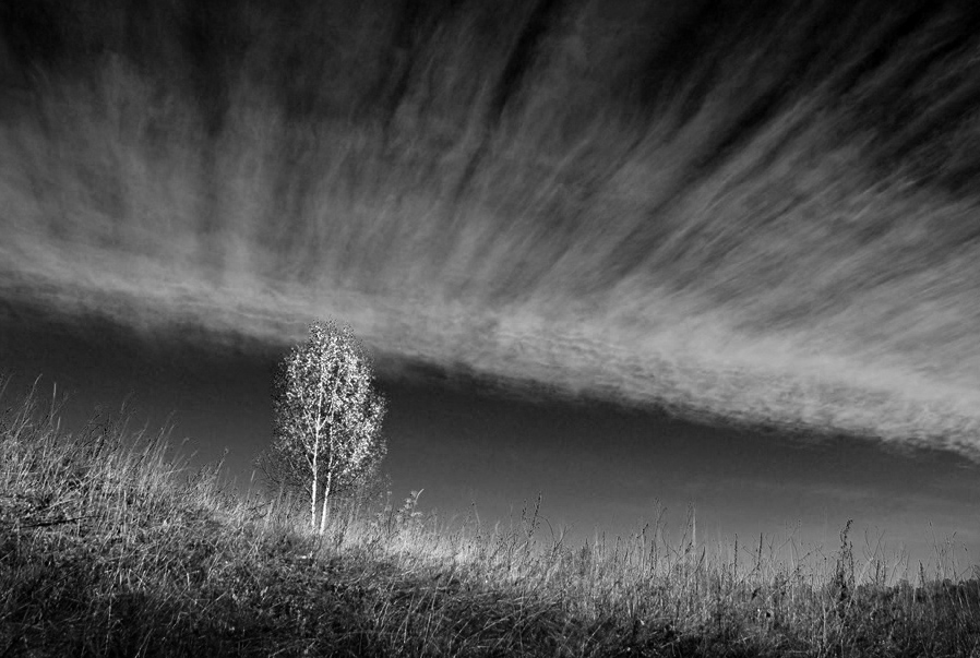 Effect oduvan