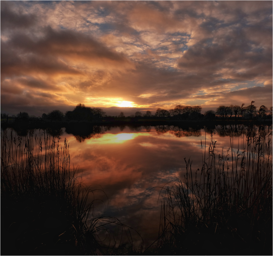 ... Marsh extravaganza ...