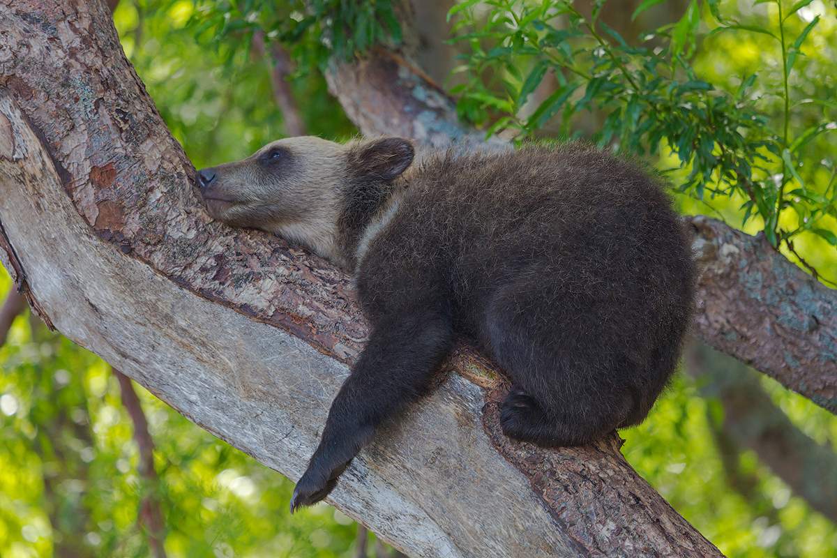 Relaxed