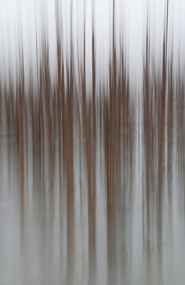 Melody in the silence