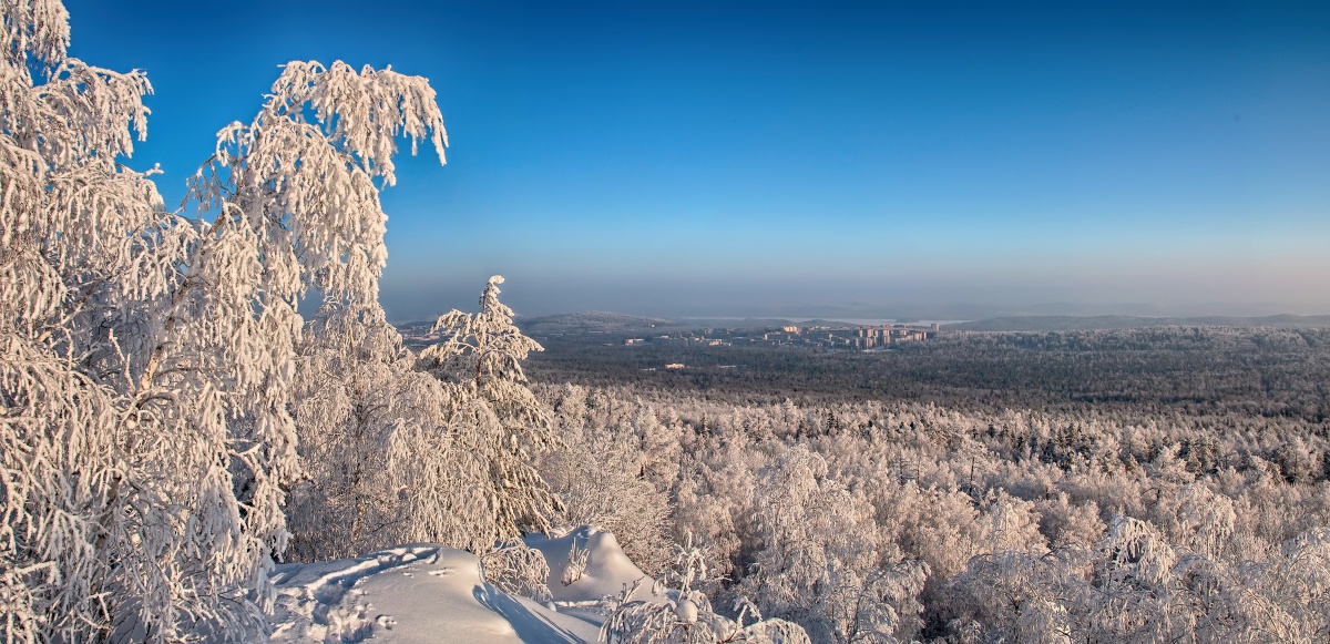 Panorama of winter