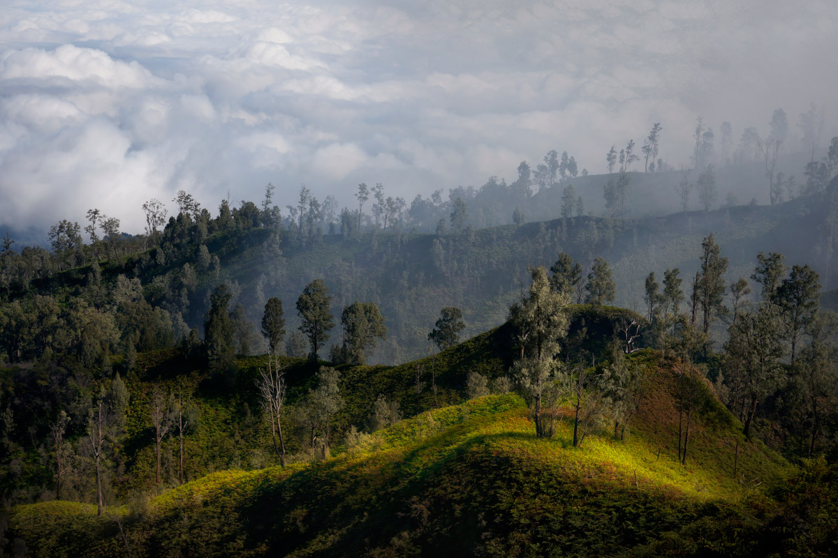 On the hillside